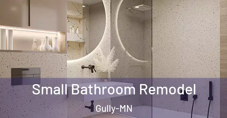inner Bathroom imggen Small Bathroom Remodel Gully-MN