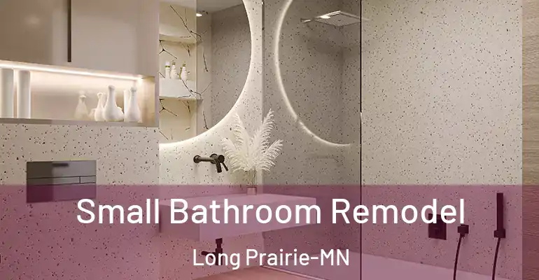 inner Bathroom imggen Small Bathroom Remodel Long Prairie-MN
