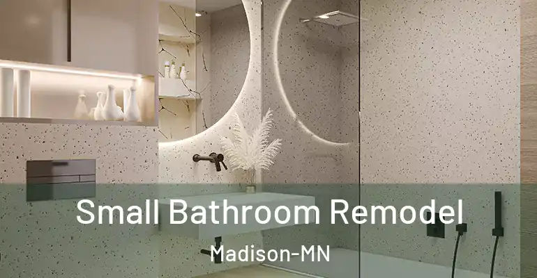 inner Bathroom imggen Small Bathroom Remodel Madison-MN