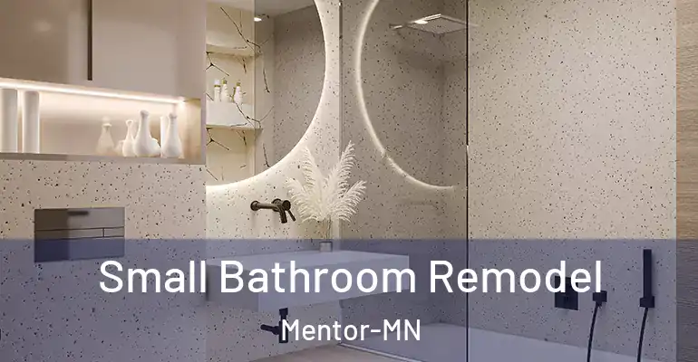 inner Bathroom imggen Small Bathroom Remodel Mentor-MN
