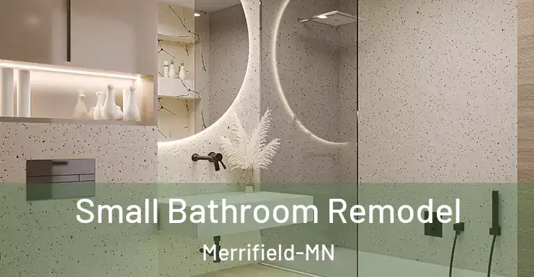 inner Bathroom imggen Small Bathroom Remodel Merrifield-MN