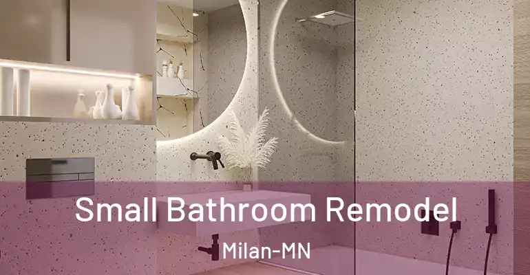 inner Bathroom imggen Small Bathroom Remodel Milan-MN
