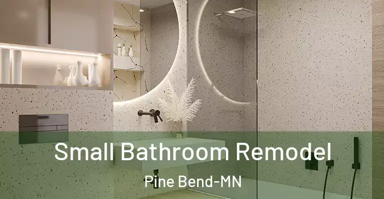 inner Bathroom imggen Small Bathroom Remodel Pine Bend-MN