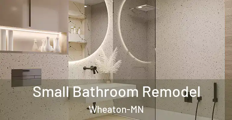 inner Bathroom imggen Small Bathroom Remodel Wheaton-MN