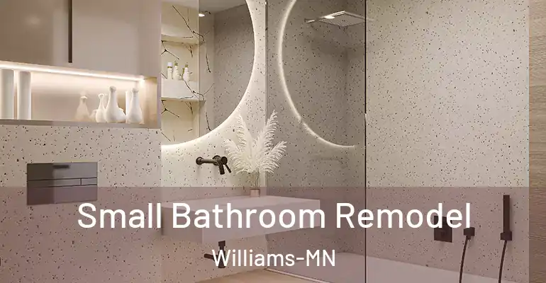 inner Bathroom imggen Small Bathroom Remodel Williams-MN