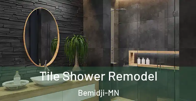 inner Bathroom imggen Tile Shower Remodel Bemidji-MN