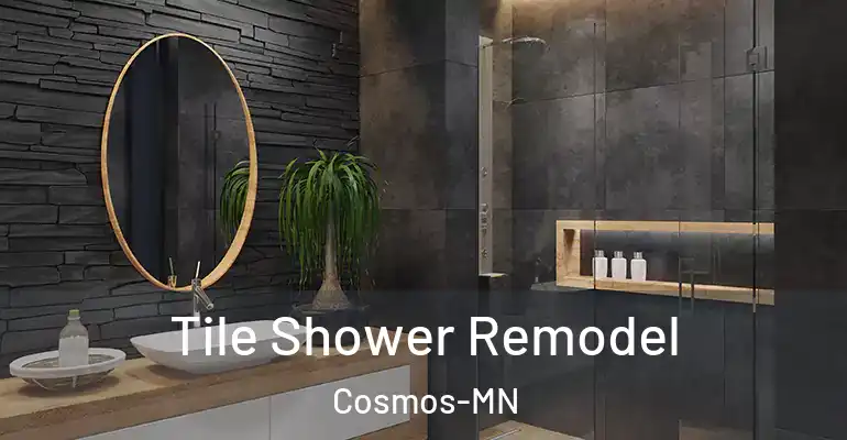 inner Bathroom imggen Tile Shower Remodel Cosmos-MN
