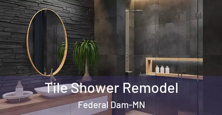 inner Bathroom imggen Tile Shower Remodel Federal Dam-MN