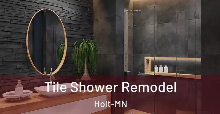 inner Bathroom imggen Tile Shower Remodel Holt-MN