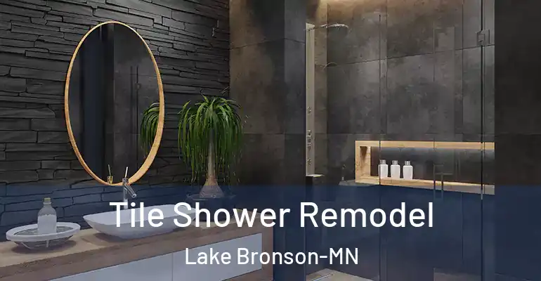 inner Bathroom imggen Tile Shower Remodel Lake Bronson-MN