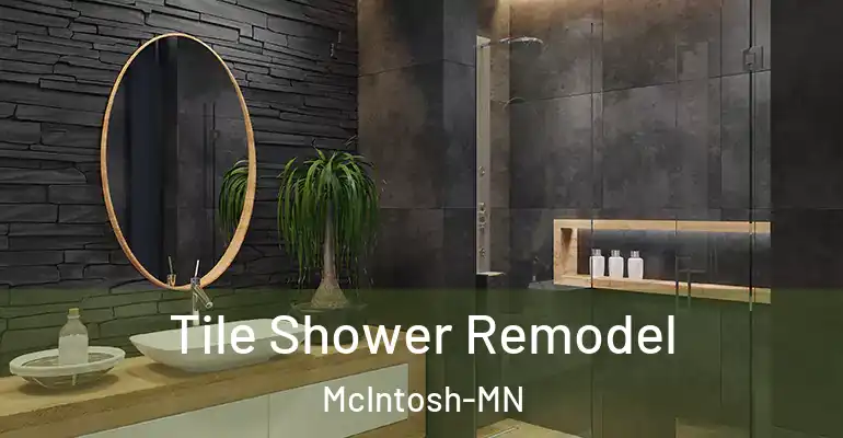 inner Bathroom imggen Tile Shower Remodel McIntosh-MN
