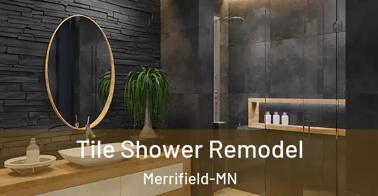 inner Bathroom imggen Tile Shower Remodel Merrifield-MN