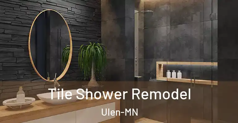 inner Bathroom imggen Tile Shower Remodel Ulen-MN