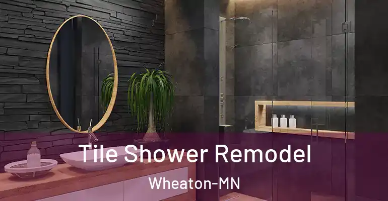 inner Bathroom imggen Tile Shower Remodel Wheaton-MN