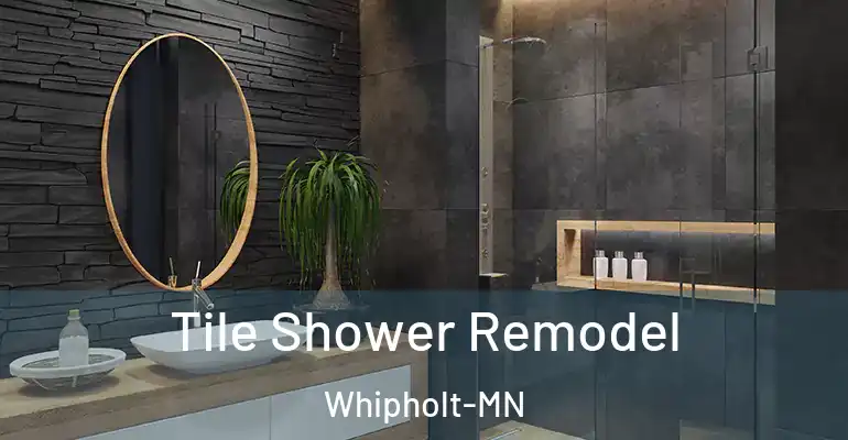 inner Bathroom imggen Tile Shower Remodel Whipholt-MN