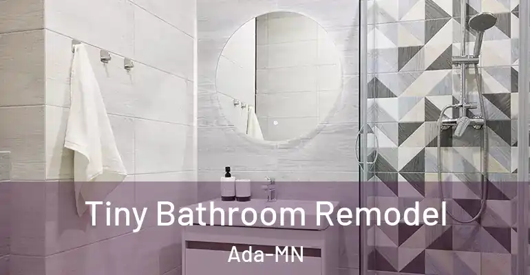 inner Bathroom imggen Tiny Bathroom Remodel Ada-MN