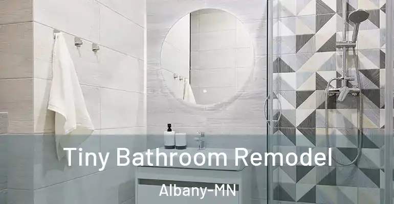 inner Bathroom imggen Tiny Bathroom Remodel Albany-MN