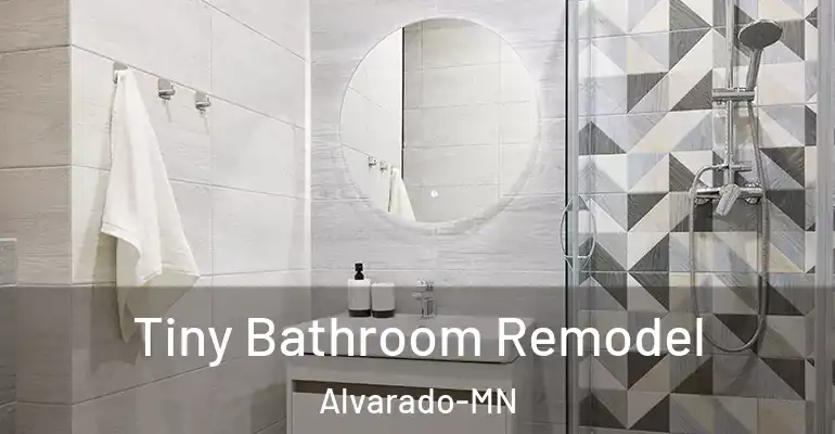inner Bathroom imggen Tiny Bathroom Remodel Alvarado-MN