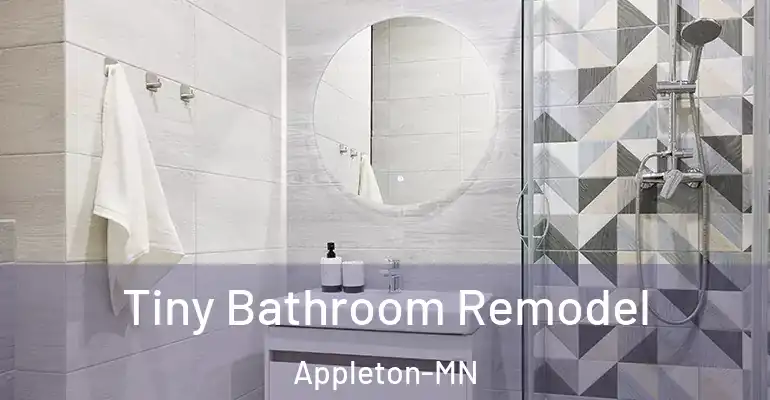 inner Bathroom imggen Tiny Bathroom Remodel Appleton-MN