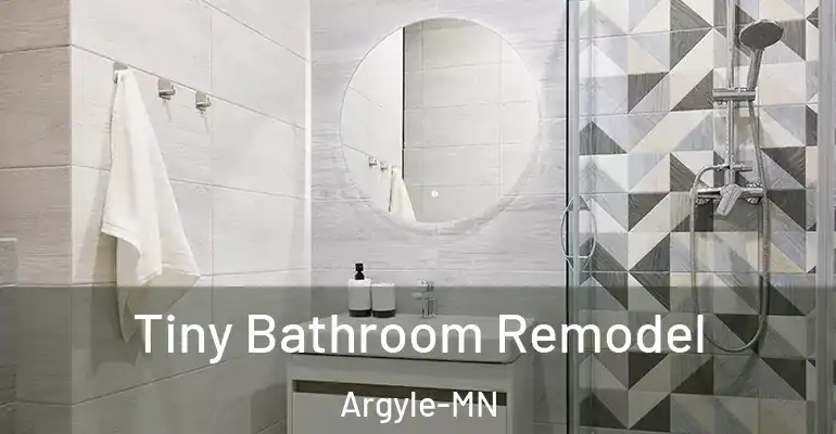 inner Bathroom imggen Tiny Bathroom Remodel Argyle-MN