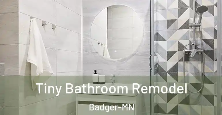 inner Bathroom imggen Tiny Bathroom Remodel Badger-MN