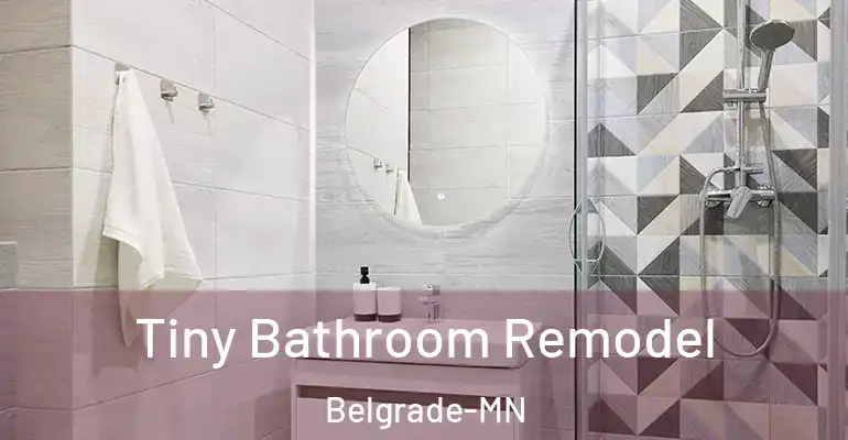 inner Bathroom imggen Tiny Bathroom Remodel Belgrade-MN