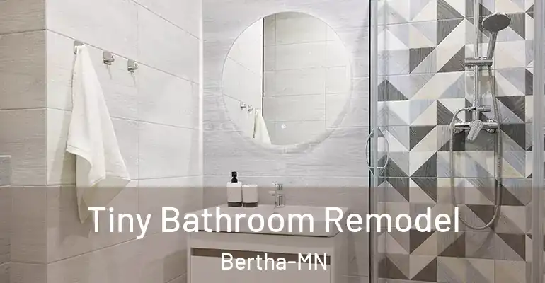 inner Bathroom imggen Tiny Bathroom Remodel Bertha-MN