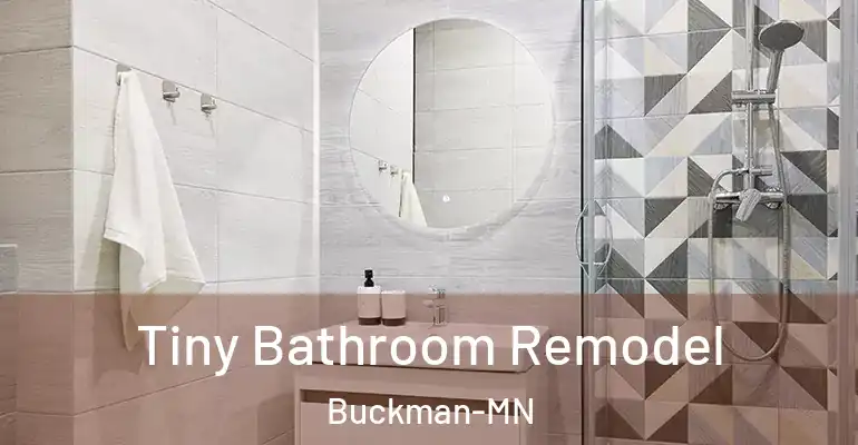 inner Bathroom imggen Tiny Bathroom Remodel Buckman-MN
