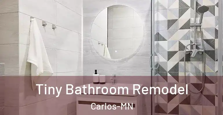 inner Bathroom imggen Tiny Bathroom Remodel Carlos-MN