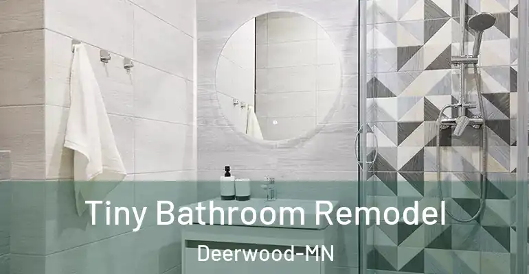 inner Bathroom imggen Tiny Bathroom Remodel Deerwood-MN