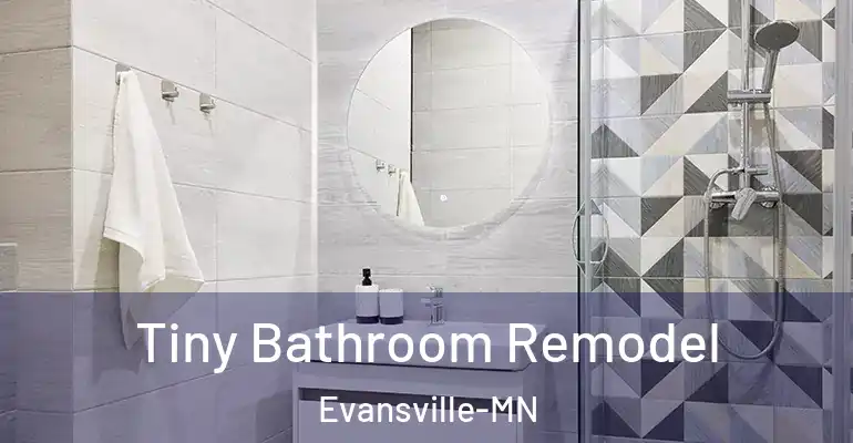 inner Bathroom imggen Tiny Bathroom Remodel Evansville-MN