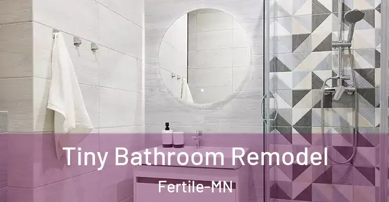inner Bathroom imggen Tiny Bathroom Remodel Fertile-MN