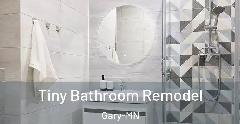 inner Bathroom imggen Tiny Bathroom Remodel Gary-MN