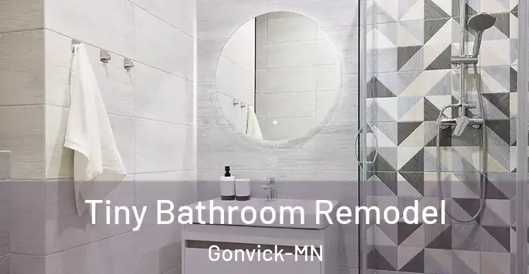 inner Bathroom imggen Tiny Bathroom Remodel Gonvick-MN