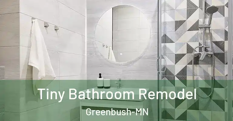 inner Bathroom imggen Tiny Bathroom Remodel Greenbush-MN