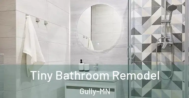 inner Bathroom imggen Tiny Bathroom Remodel Gully-MN