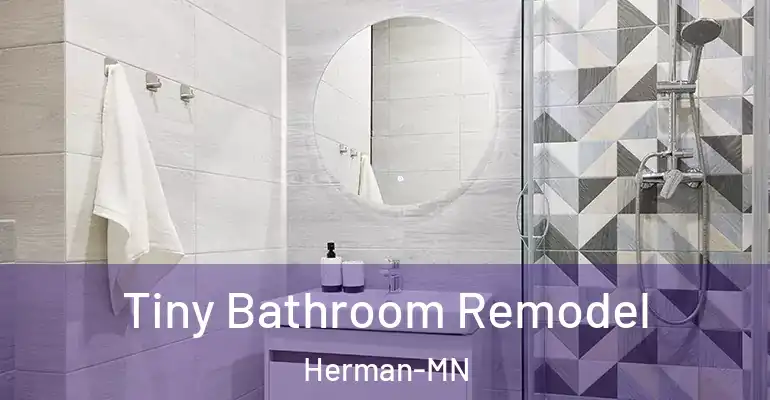 inner Bathroom imggen Tiny Bathroom Remodel Herman-MN