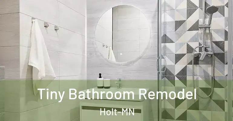 inner Bathroom imggen Tiny Bathroom Remodel Holt-MN