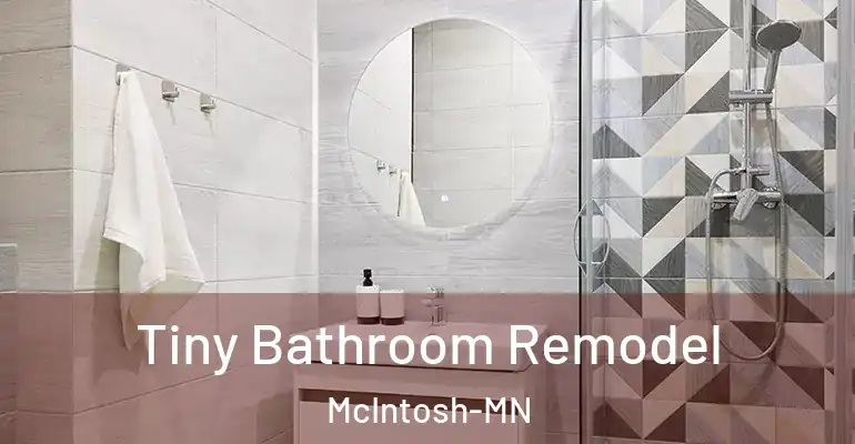 inner Bathroom imggen Tiny Bathroom Remodel McIntosh-MN