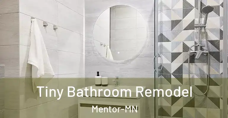 inner Bathroom imggen Tiny Bathroom Remodel Mentor-MN