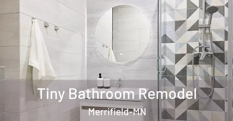 inner Bathroom imggen Tiny Bathroom Remodel Merrifield-MN