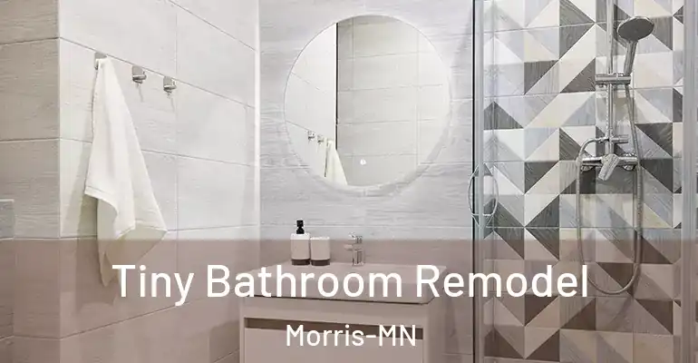 inner Bathroom imggen Tiny Bathroom Remodel Morris-MN