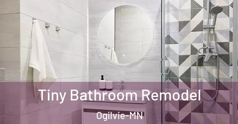 inner Bathroom imggen Tiny Bathroom Remodel Ogilvie-MN