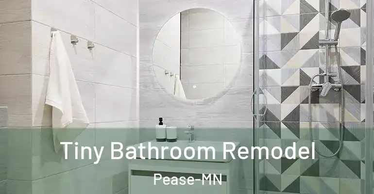 inner Bathroom imggen Tiny Bathroom Remodel Pease-MN