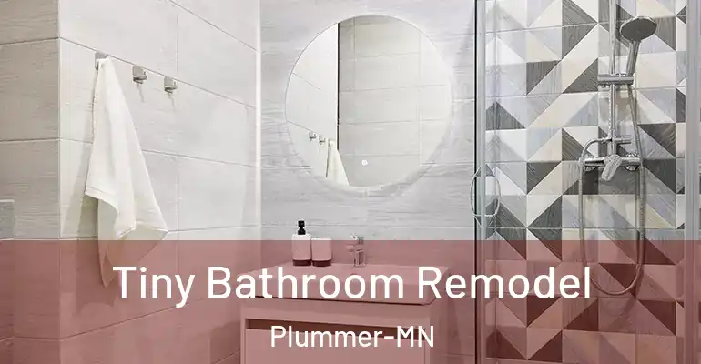 inner Bathroom imggen Tiny Bathroom Remodel Plummer-MN