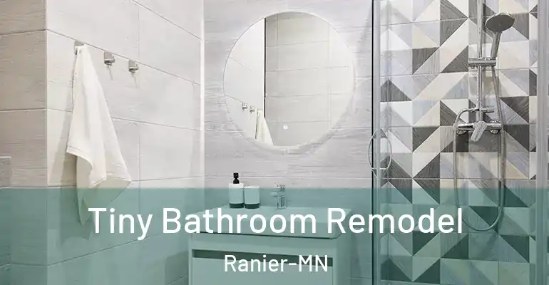 inner Bathroom imggen Tiny Bathroom Remodel Ranier-MN