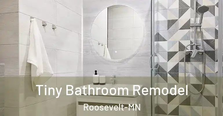 inner Bathroom imggen Tiny Bathroom Remodel Roosevelt-MN