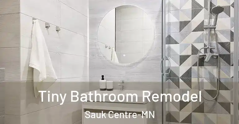 inner Bathroom imggen Tiny Bathroom Remodel Sauk Centre-MN