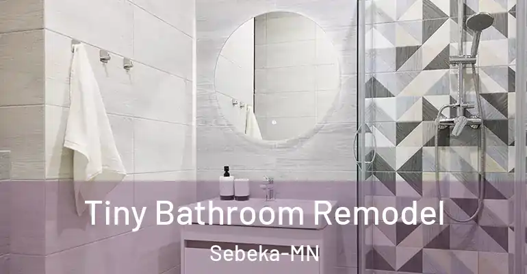 inner Bathroom imggen Tiny Bathroom Remodel Sebeka-MN