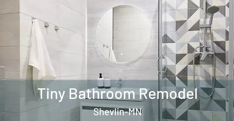 inner Bathroom imggen Tiny Bathroom Remodel Shevlin-MN